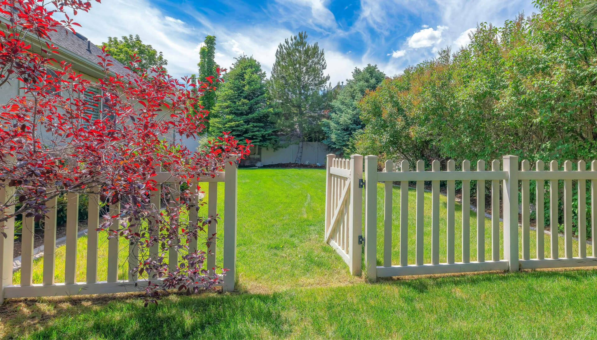 A functional fence gate providing access to a well-maintained backyard, surrounded by a wooden fence in Tacoma